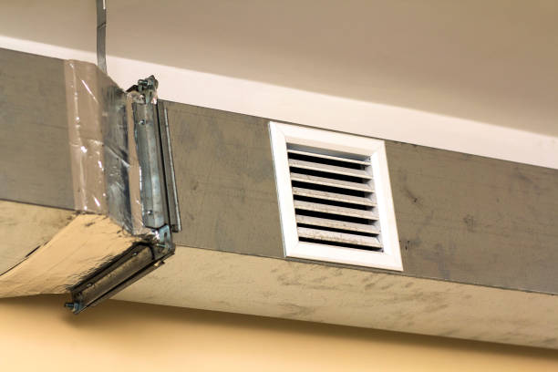 Best HVAC Duct Inspection Services  in Lewisburg, TN